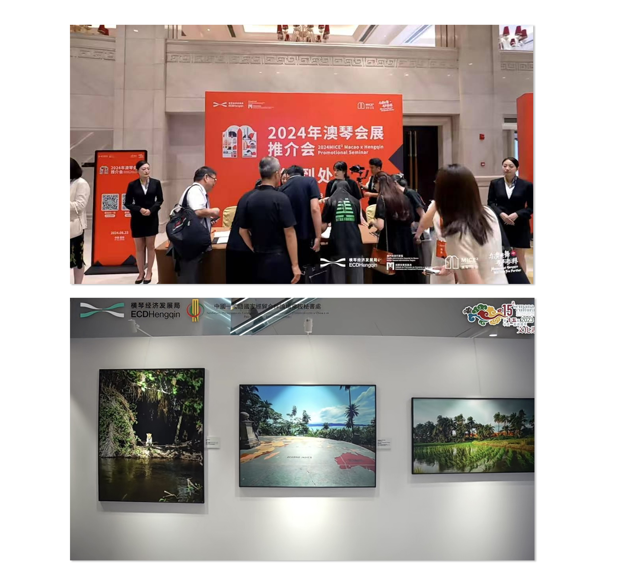 澳琴会展6.jpg