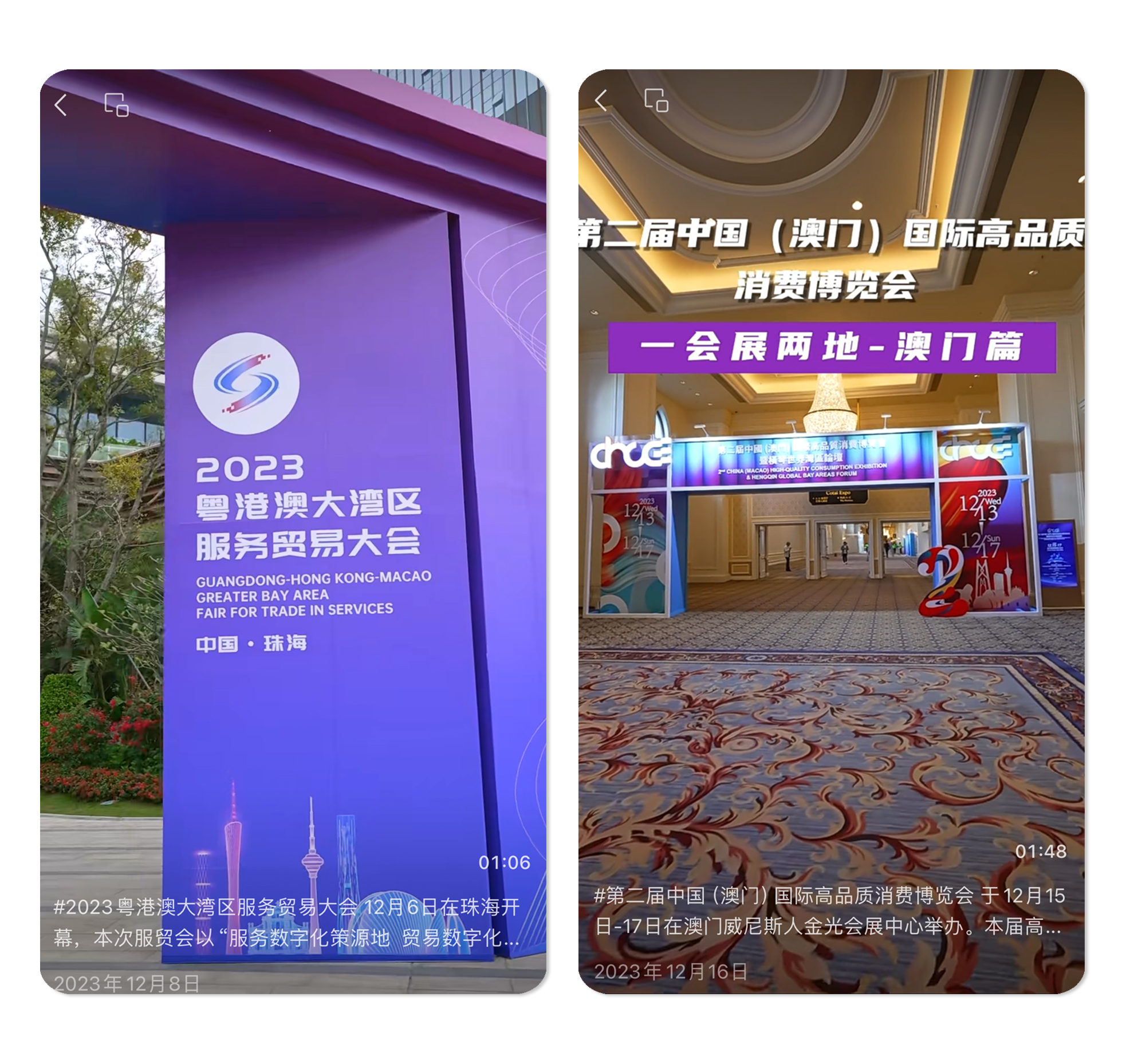 澳琴会展1.jpg